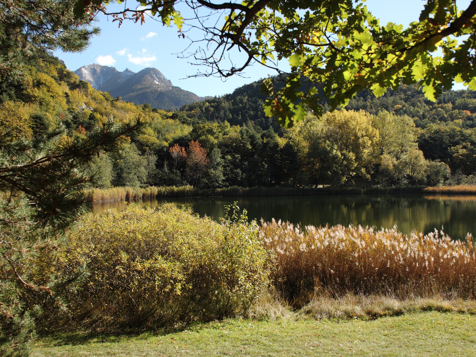 Naturreservat Lago di Villa