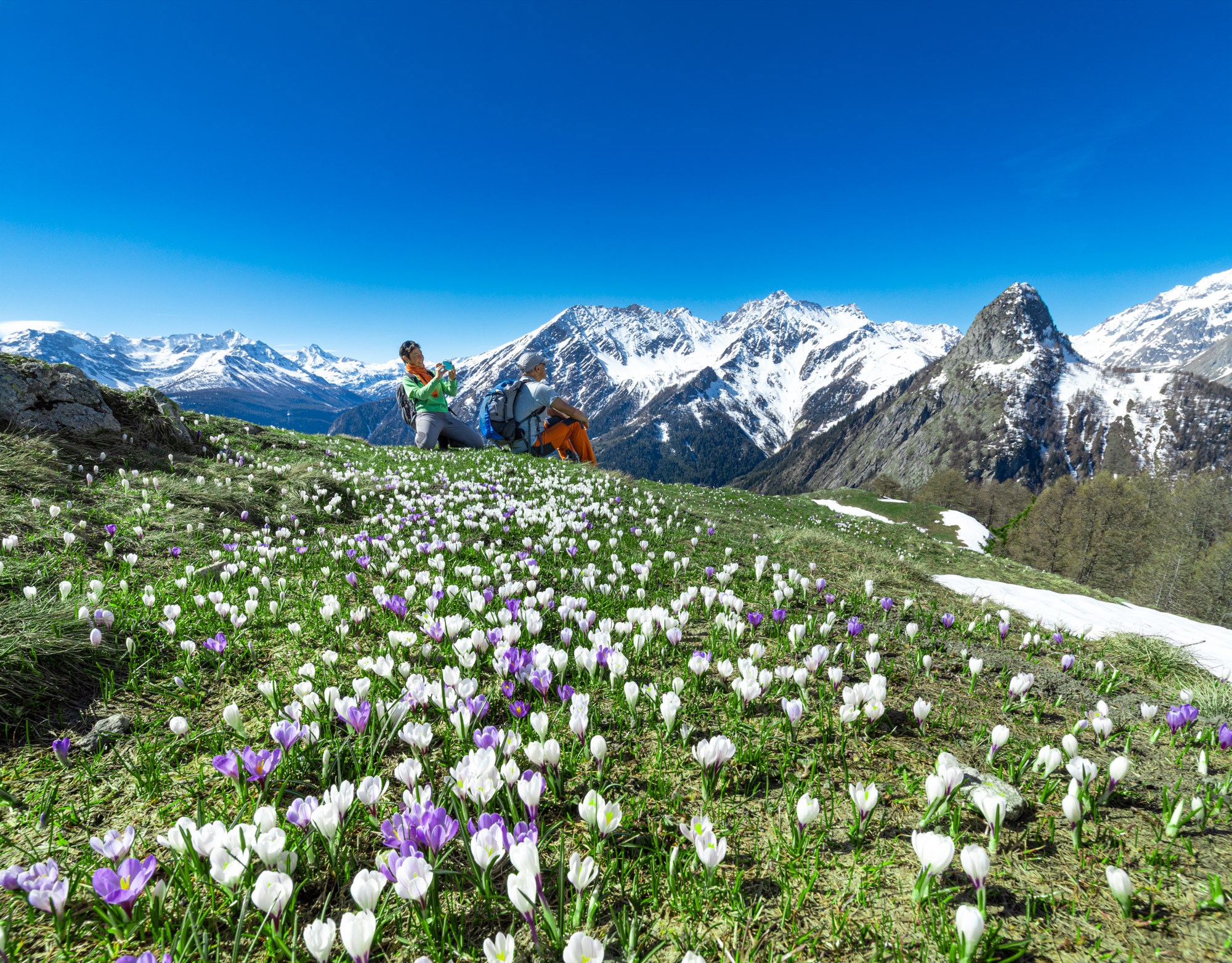 Vallée d'Aoste