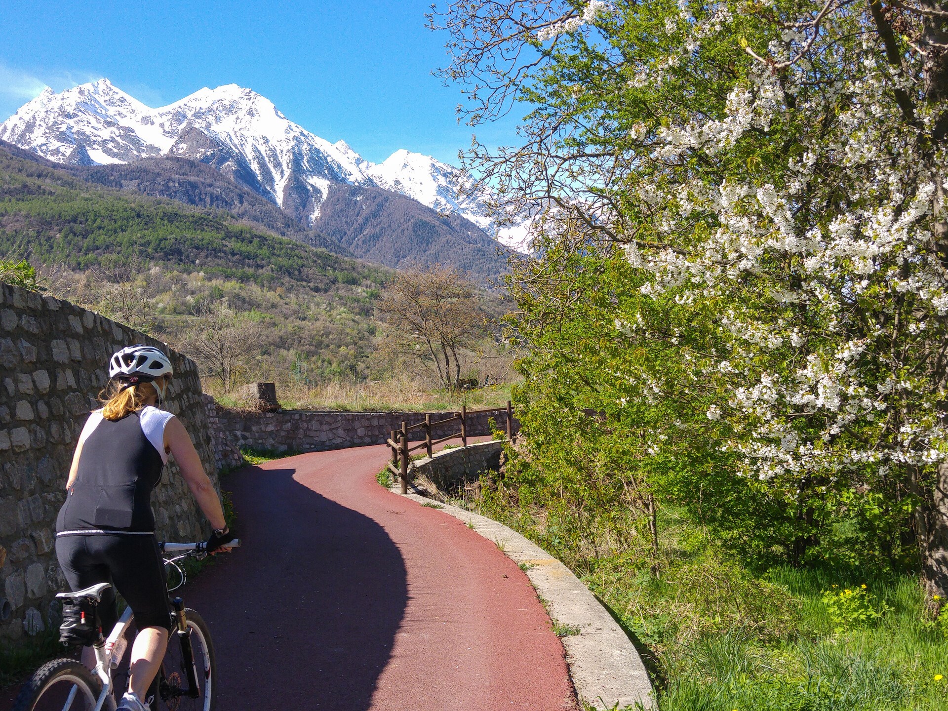 Piste cyclable-piétonne