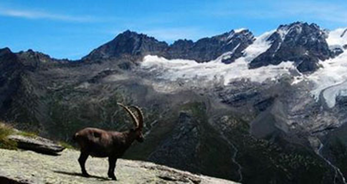 Nationalpark Gran Paradiso