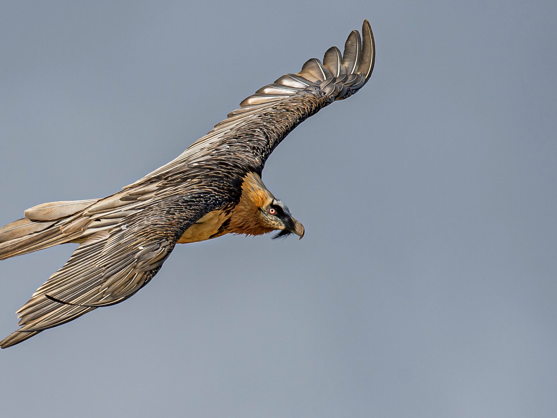 Verbote in Valnontey