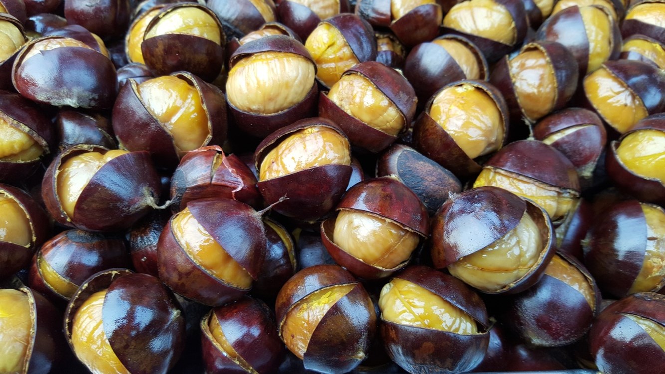 Chestnut Festivals