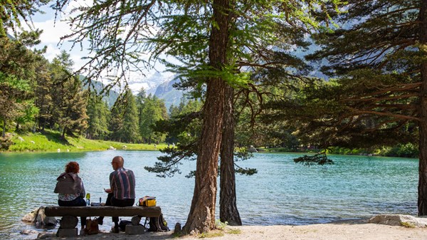 Área de pic-nic "Bosco di Lexert" - Bionaz