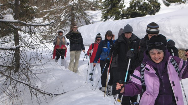 Snowshoe hikes for beginners.