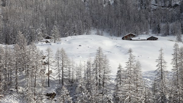 Randonnée en raquettes dans le Parc National du Grand Paradis