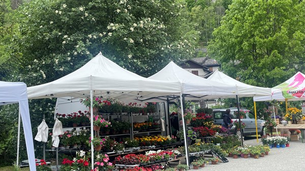 "Fiòrantey" Lo martsé di Fiòr - Mercado de floricultura y horticultura