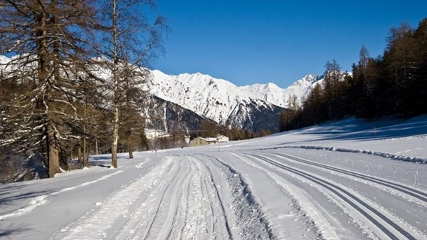 Arpyssima: compétition de ski nordique