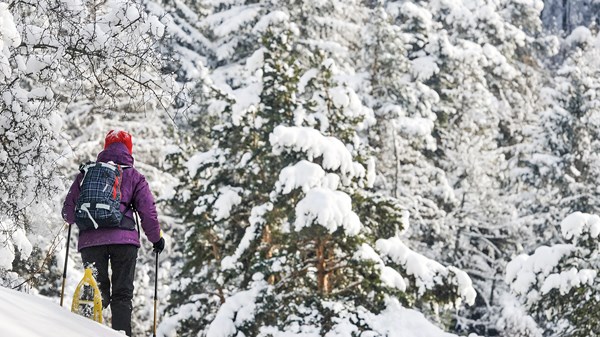 Day hike with snowshoes