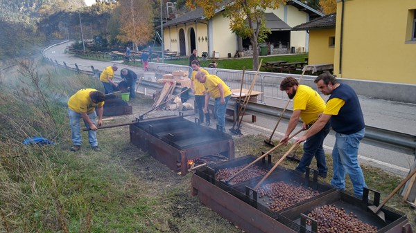 The Avise Chestnut Festival 