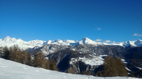 Camminare nel bosco tra Châté e l’Alpe Gordzà