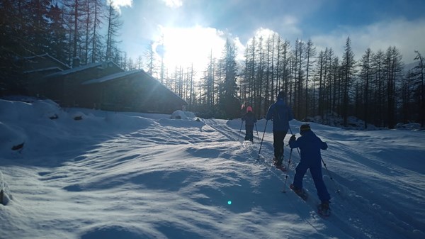 Schneeschuhwandern im Wald, auf den Spuren der Tiere.