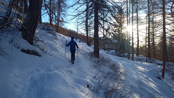 Schneeschuhwanderung Valtournenche, mit Aperitif im Freien