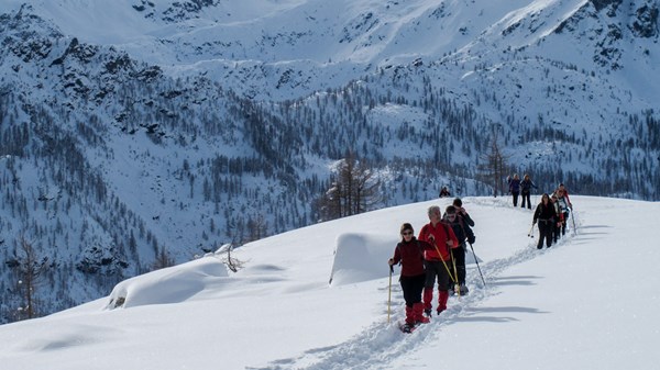 Il paradiso in ciaspole con Guide Trek Alps