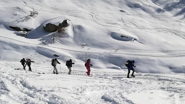 En el bosque con raquetas de nieve.