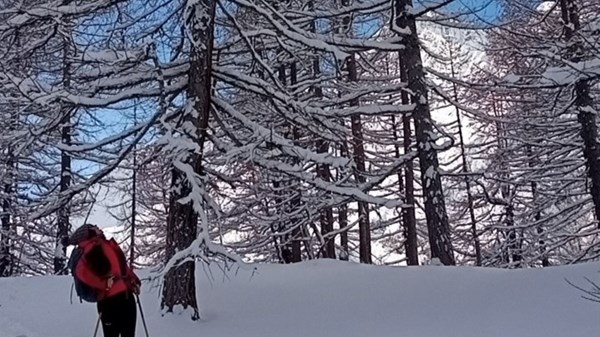 In the woods on snowshoes with Trek Alps guides