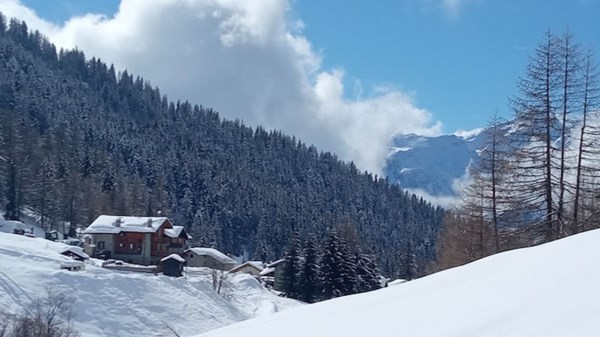 Ciaspolata pomeridiana con Guide Trek Alps