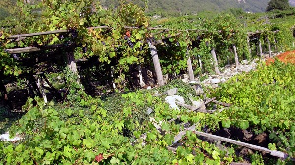 Vallée d'Aoste: des territoires à l'âme héroïque - conférence et dégustation