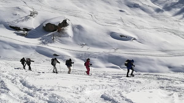 Nel bosco in ciaspole