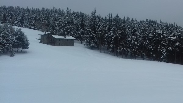 Il bosco di Lavesé e il magico mondo della neve