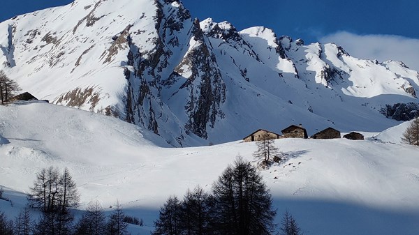 Snowshoe hike to the Col Serena pastures and the magical world of snow.