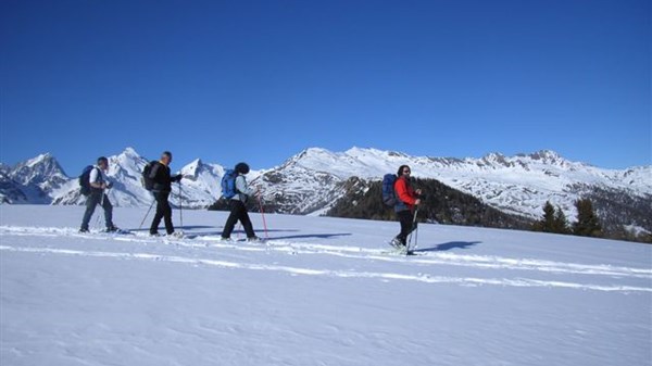 Sentiers dans la neige