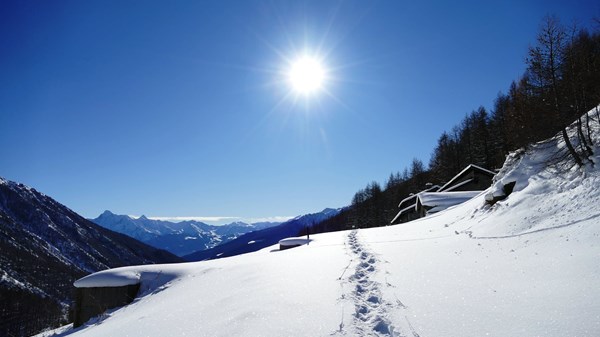 In the Menouve valley to discover its mountain pastures