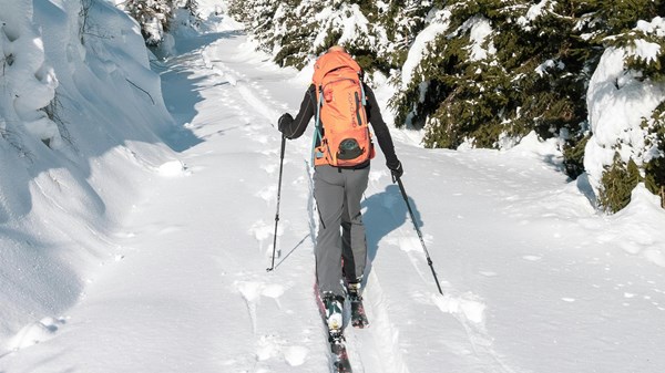 Cours de ski alpinisme avec les guides de montagne d'Ayas