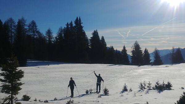 Snowshoe hike in the forest  between Châté and Alpe Gordzà