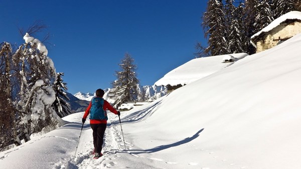 Escursione con le ciaspole al Col Croce