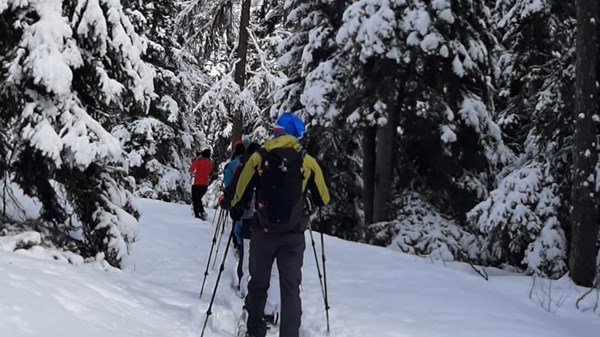 Una caminata con raquetas por la tarde para todos ... descubriendo el bosque del Col Joux