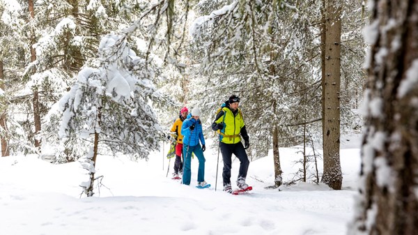 Cogne Outdoor - Neve in quota