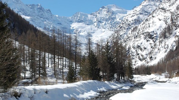 En raquettes le long des chemins du Paradis