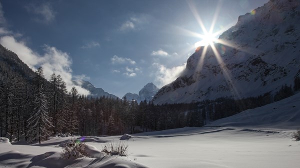 Snowshoe hike with aperitif in a hut