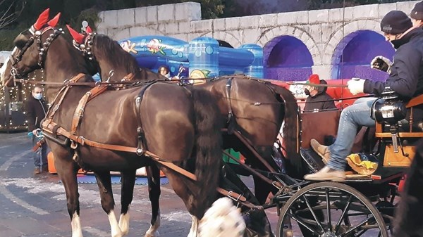 La Carrozza Magica - Tour in carrozza con cavalli