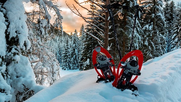 Location raquettes à neige