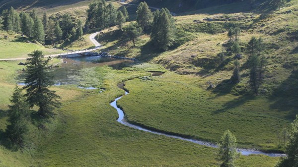 El pantano de Lo Ditor