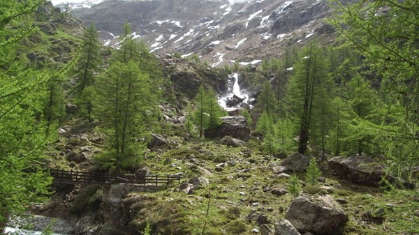 Place Moulin - Alpe Bella Tsa