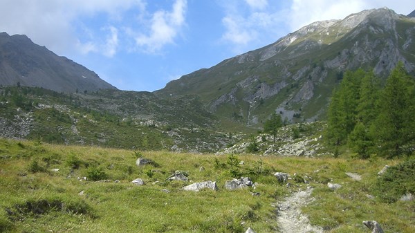 Rosière - Paso Serena