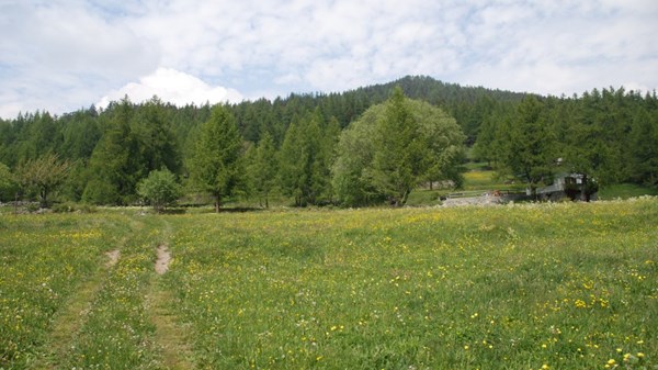 Col de Joux - Testa di Comagna