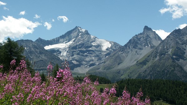 Mont Grivola - 3 969 m