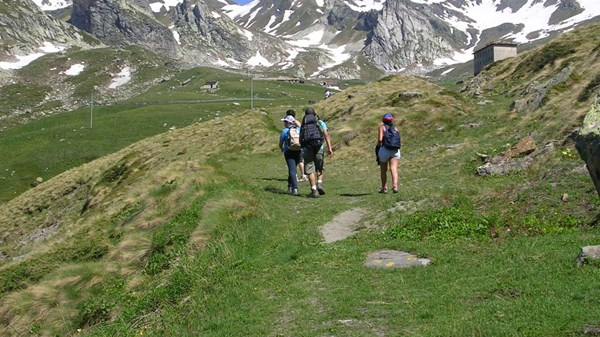 Paso Fenêtre de Ferret