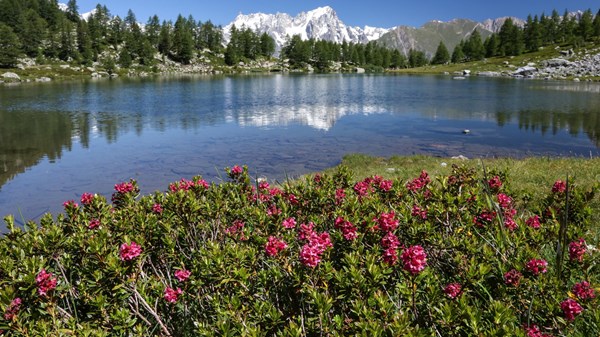 Colle San Carlo – Lago d’Arpy