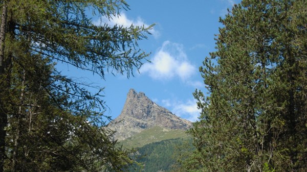 Le mont Avic