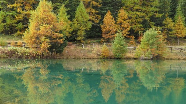 Lago di Joux