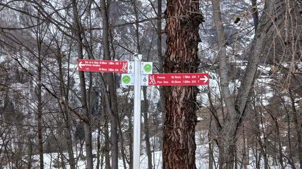 Tracciato pedonale Anello Lago di Loz