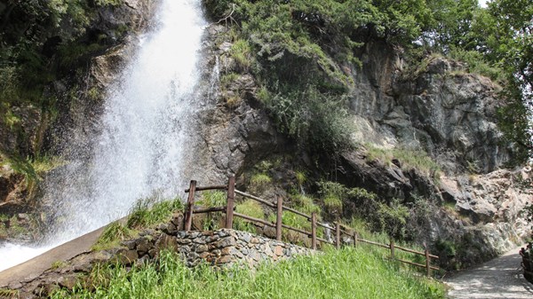 Il vitello sul tesoro