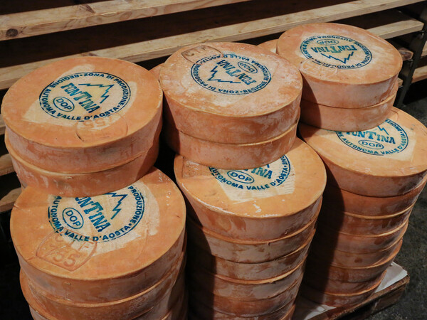 Fontina