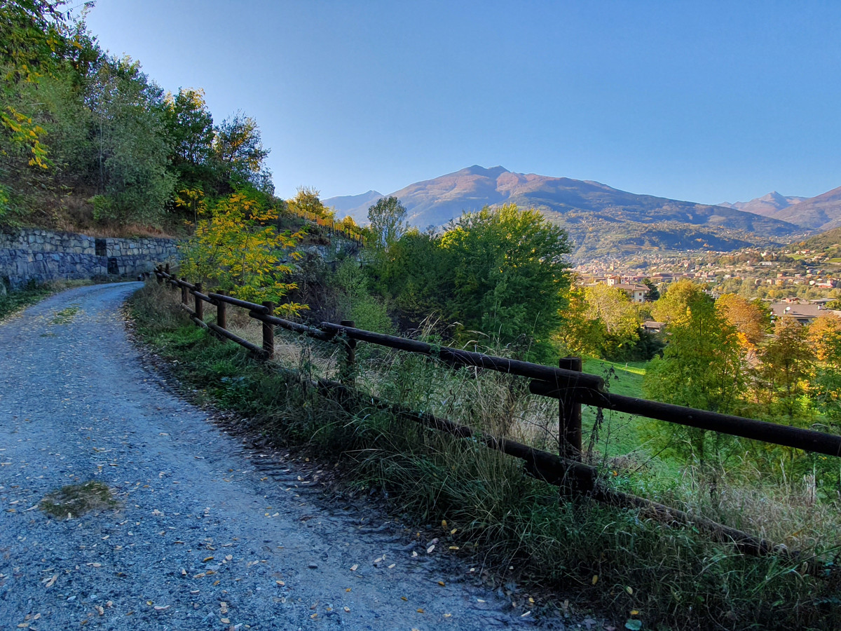 Autumn in Pollein