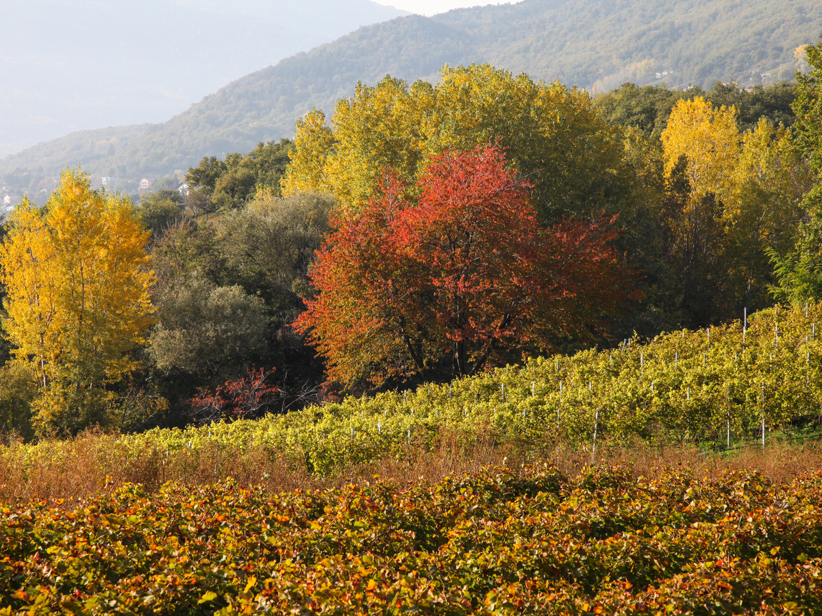 Coleurs d'automne à Saint-Christophe