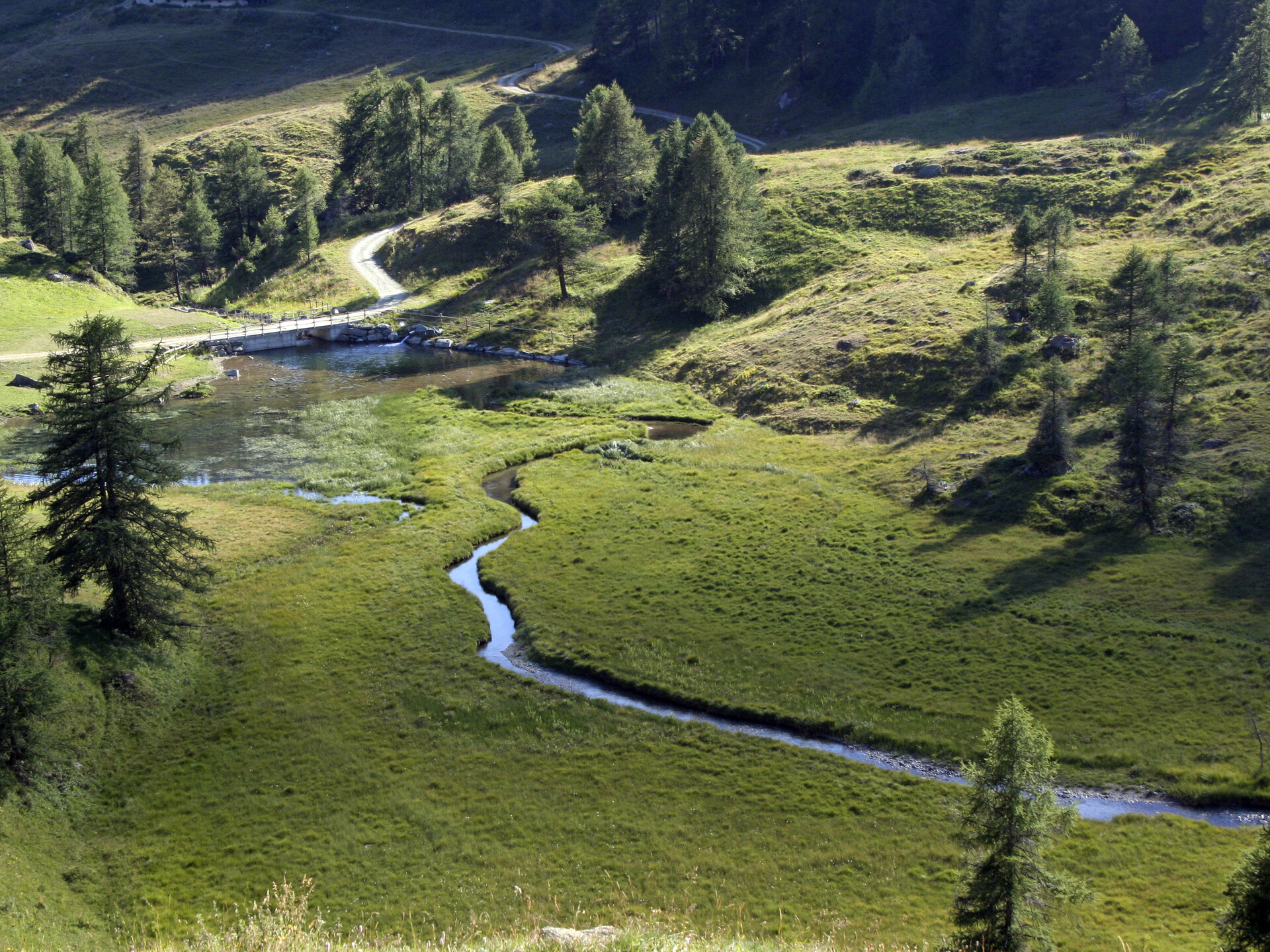 Der Teich von Lo Ditor